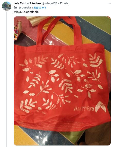 Erlend Oye usa bolsa del Aurrerá