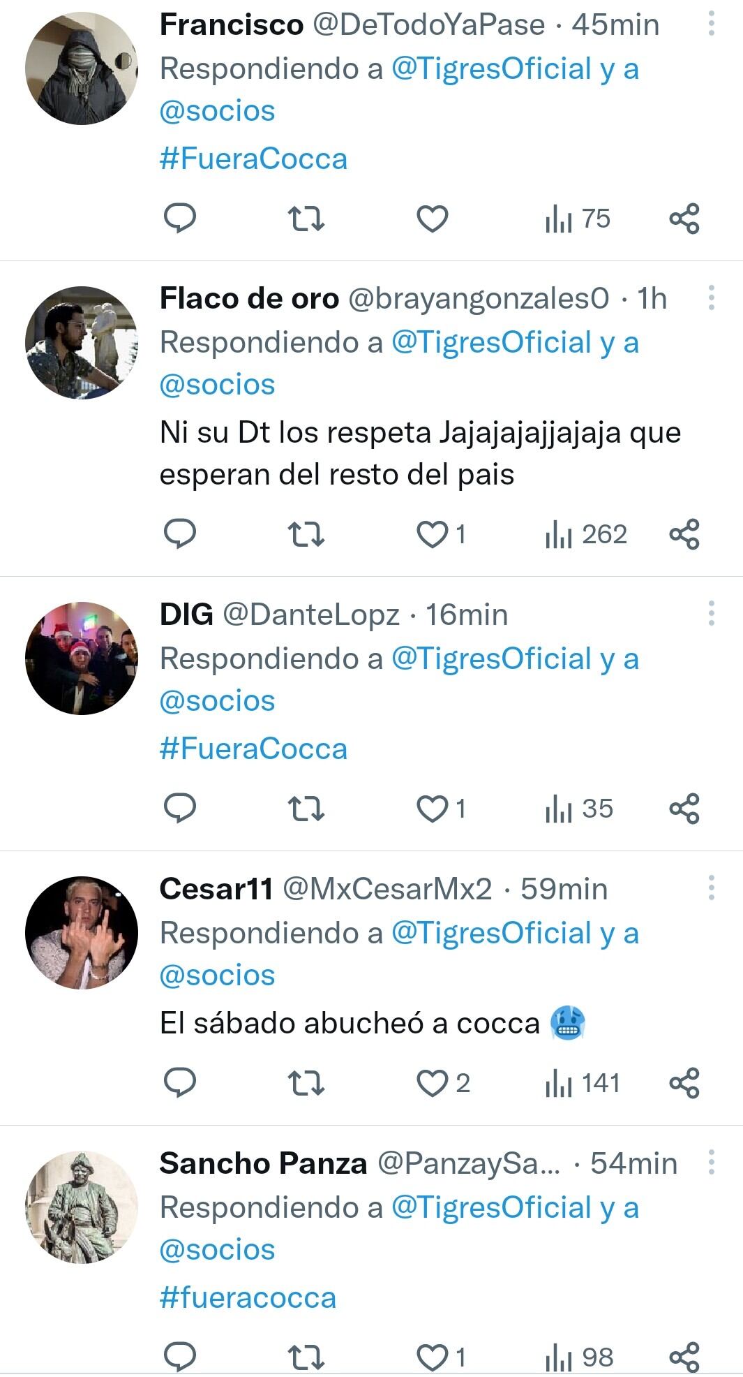 Fans de Tigres