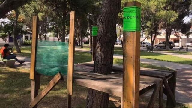 Casa del árbol clausurada por Protección Civil