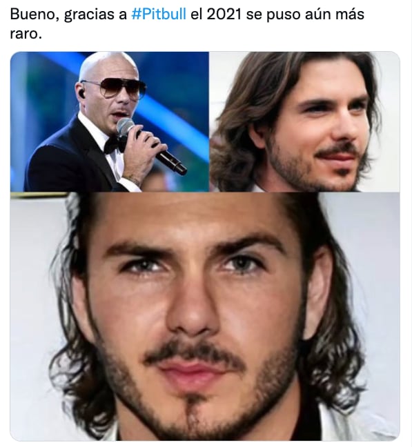 Meme de Pitbull con cabello largo