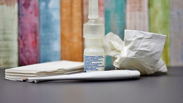 Spray nasal