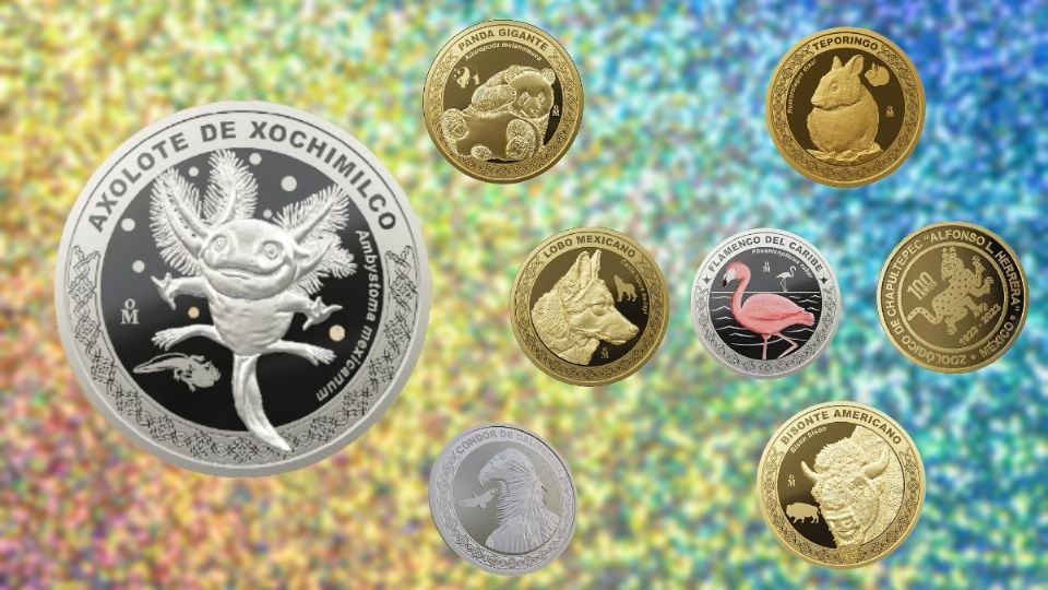 Moneda de ajolote en plata se agotó, pero hay una buena noticia para coleccionistas