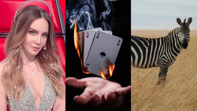 Este 31 de enero, Belinda estrena nuevo disco llamado Indomable; además es el Día del Mago y el Día Internacional de la Cebra