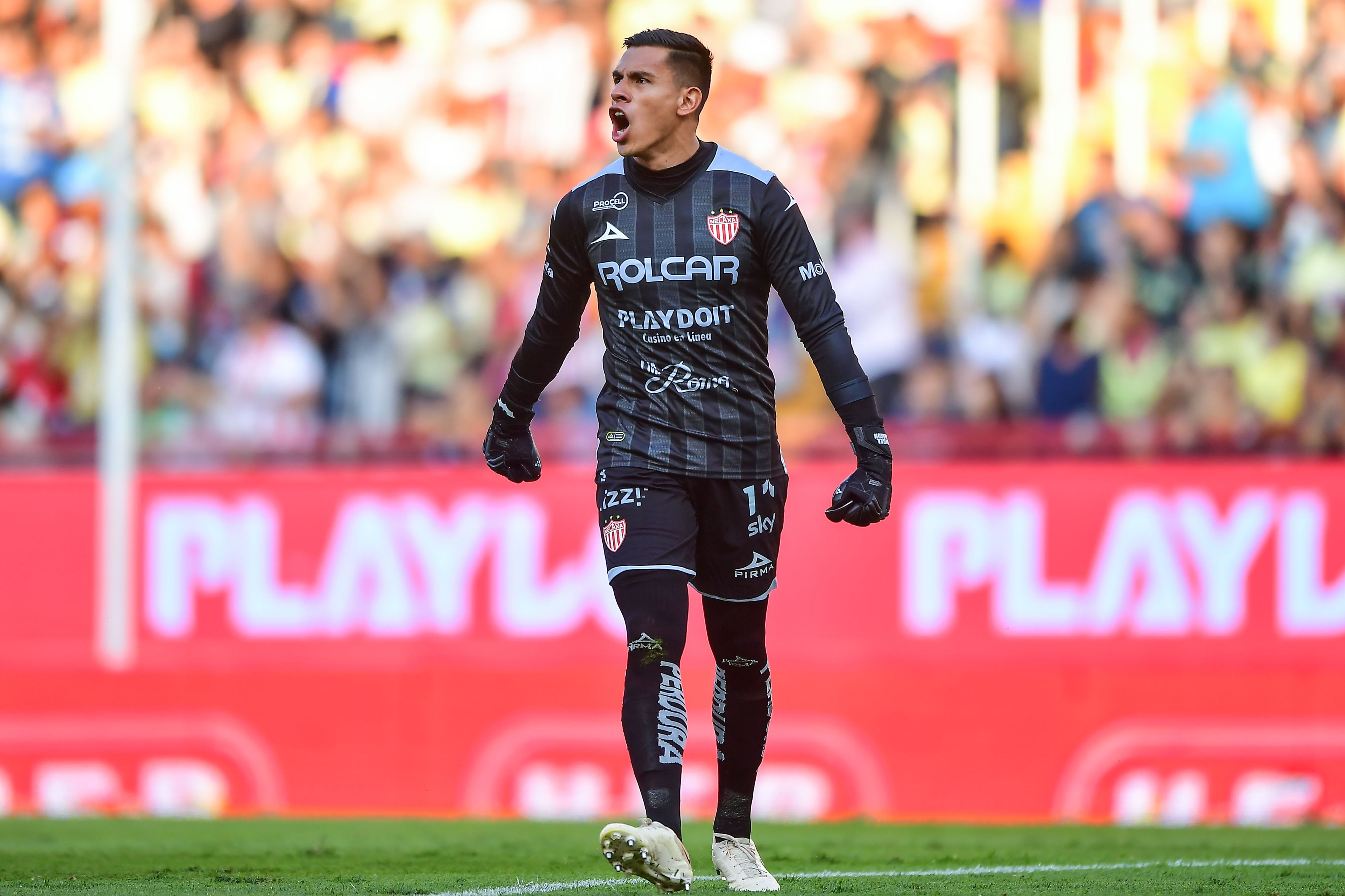 Club Necaxa.