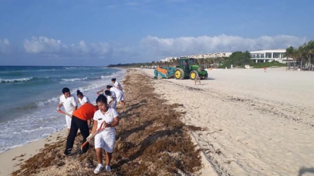 Seguramente este fenómeno es parte del calentamiento global al no haber estado presente en años anteriores.