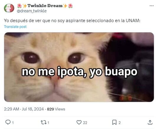 Memes de Aspirante no seleccionado