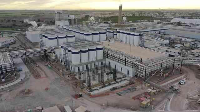 Constellation Brands