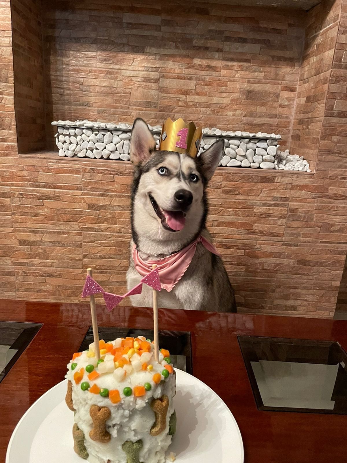Perrito feliz y saludable un año después de ser adoptado