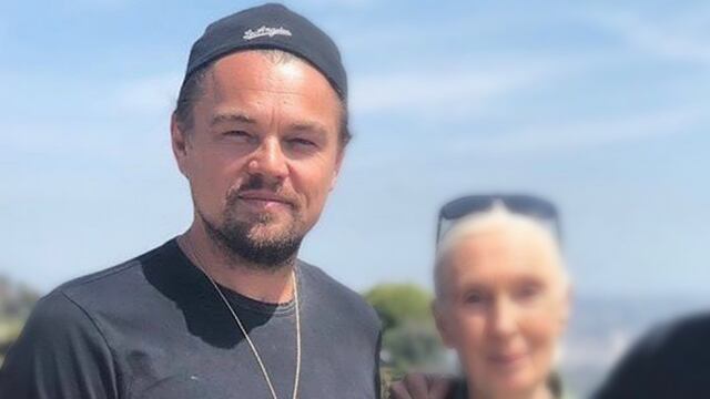 Leonardo DiCaprio