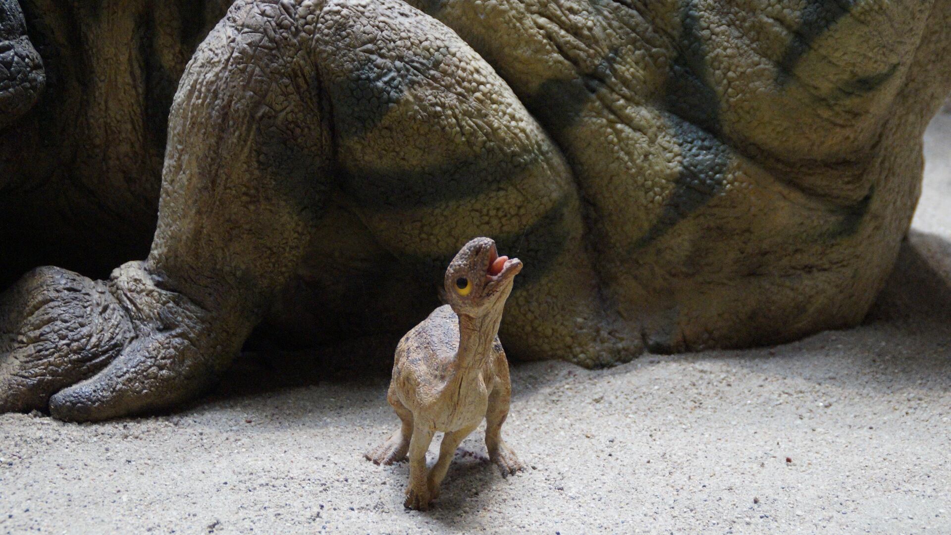 Encuentran restos de dinosaurios bebé en Alaska