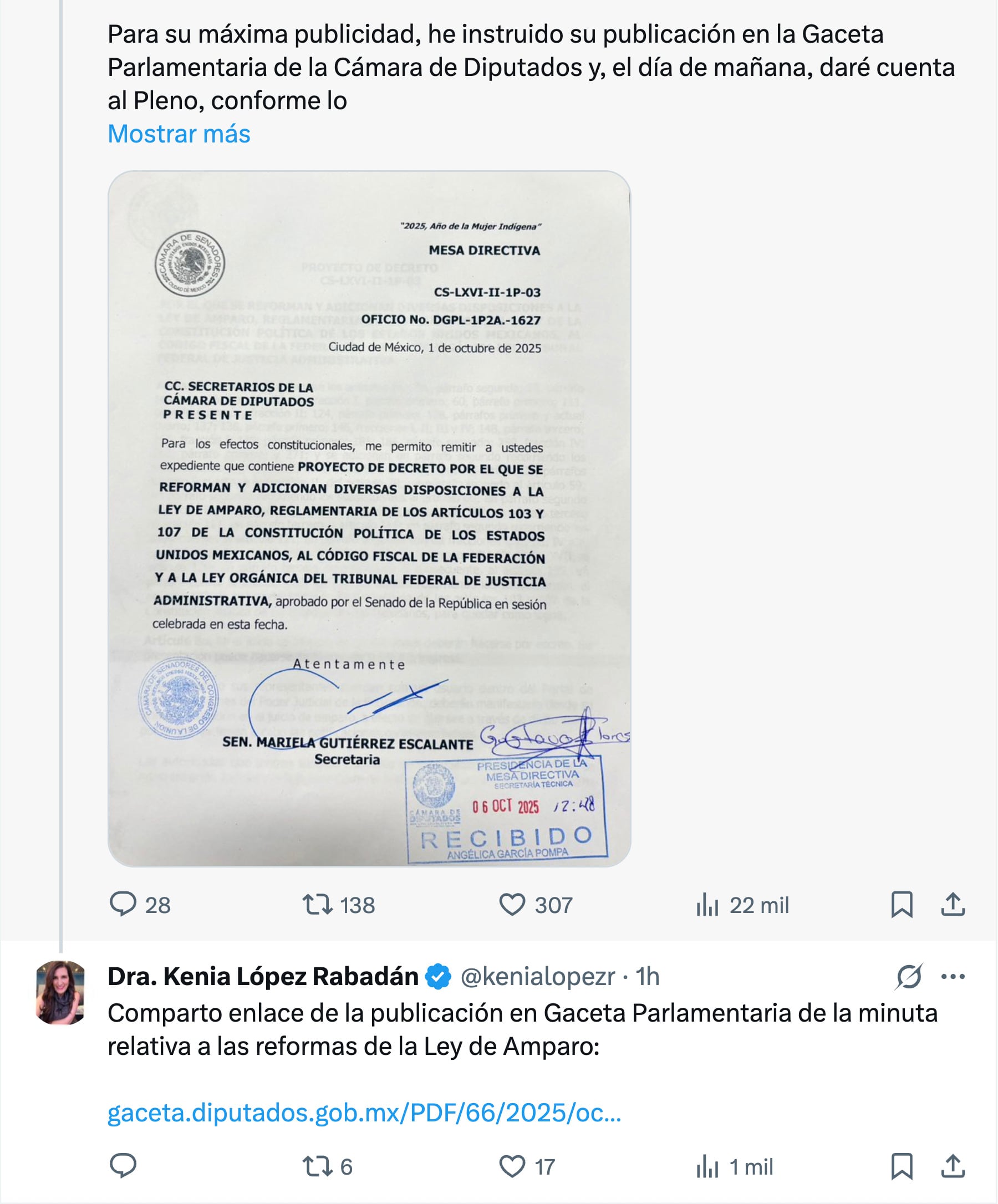 Cámara de Diputados recibió Ley de Amparo