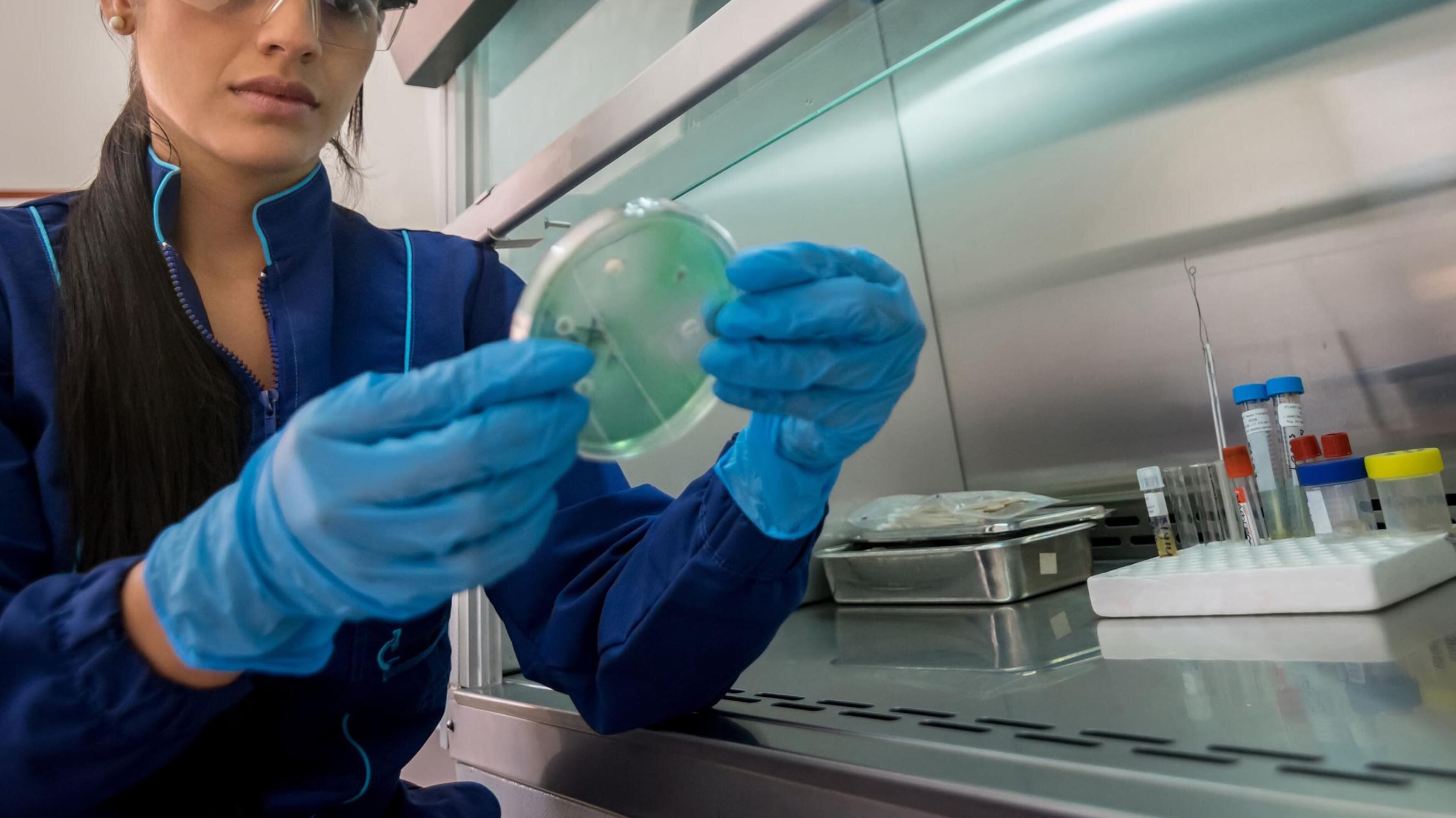 Empresas sancionadas por colusión en sector Salud seguirían recibiendo contratos públicos en 2025