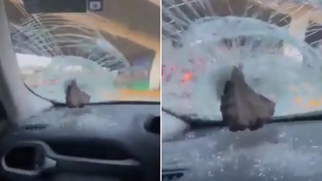 Autopista México-Puebla se perfila como la más peligrosa de 2025 por este tipo de robo