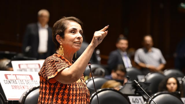 Antares Vázquez afirma que Morena desaprueba la invitación de David Yosef en el Congreso