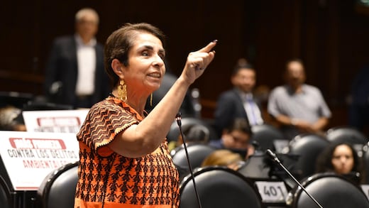 Antares Vázquez afirma que Morena desaprueba la invitación de David Yosef en el Congreso