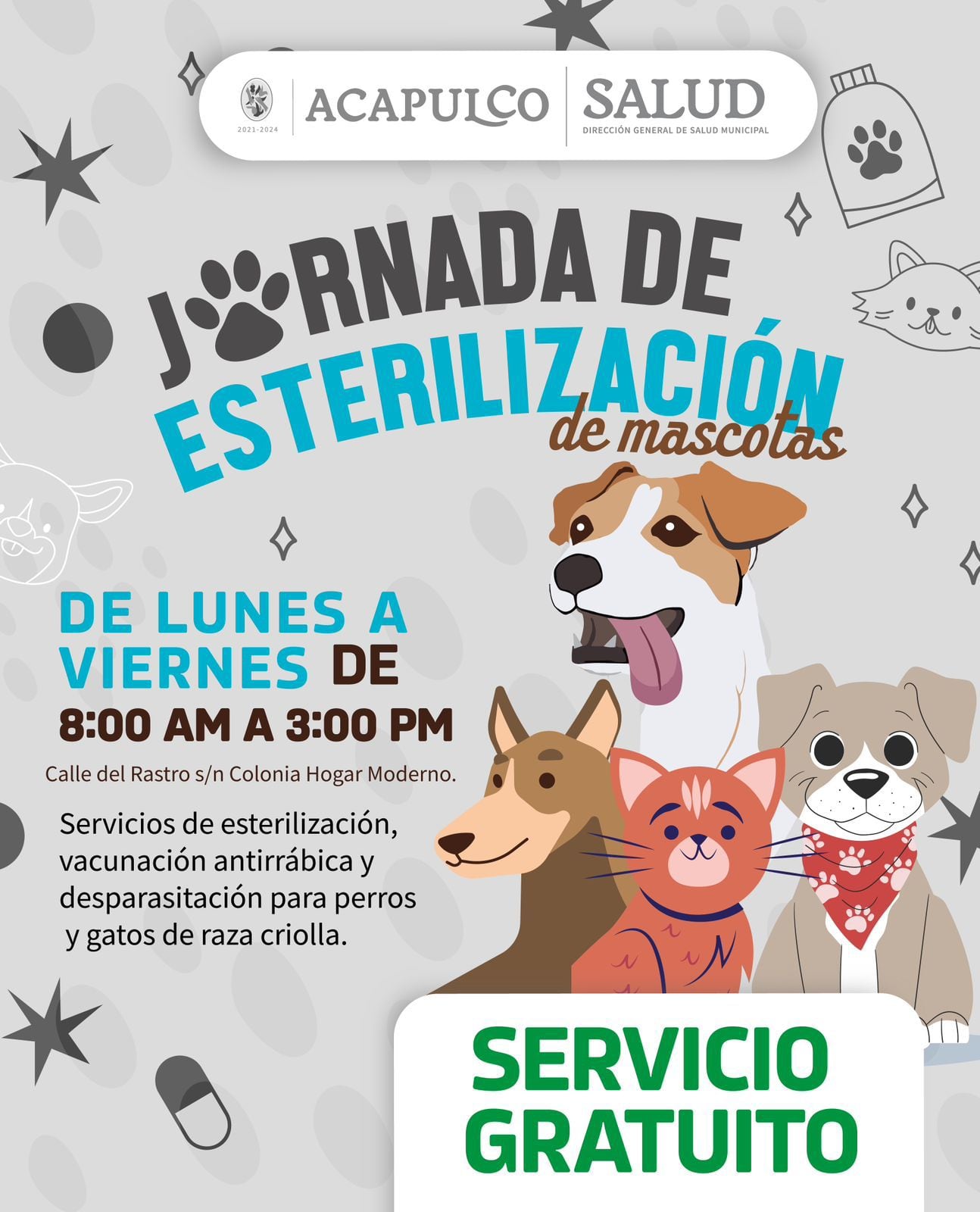 Campaña de esterilización en Acapulco