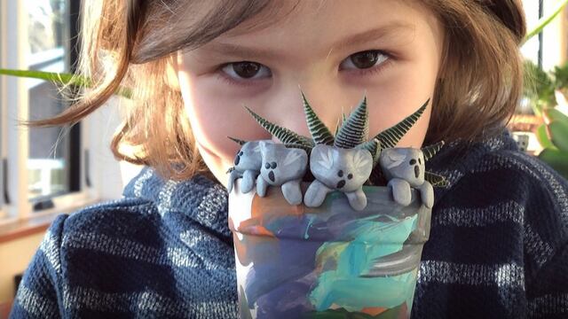 Owen Colley con los koalas de plastilina