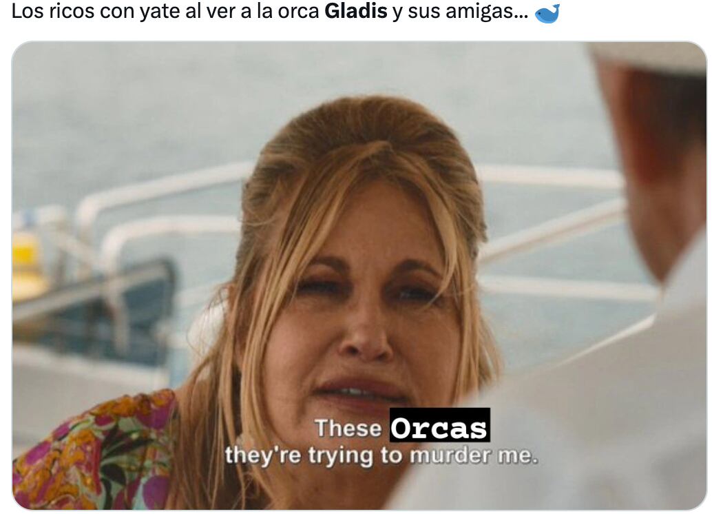 Memes de Gladis, la orca asesina