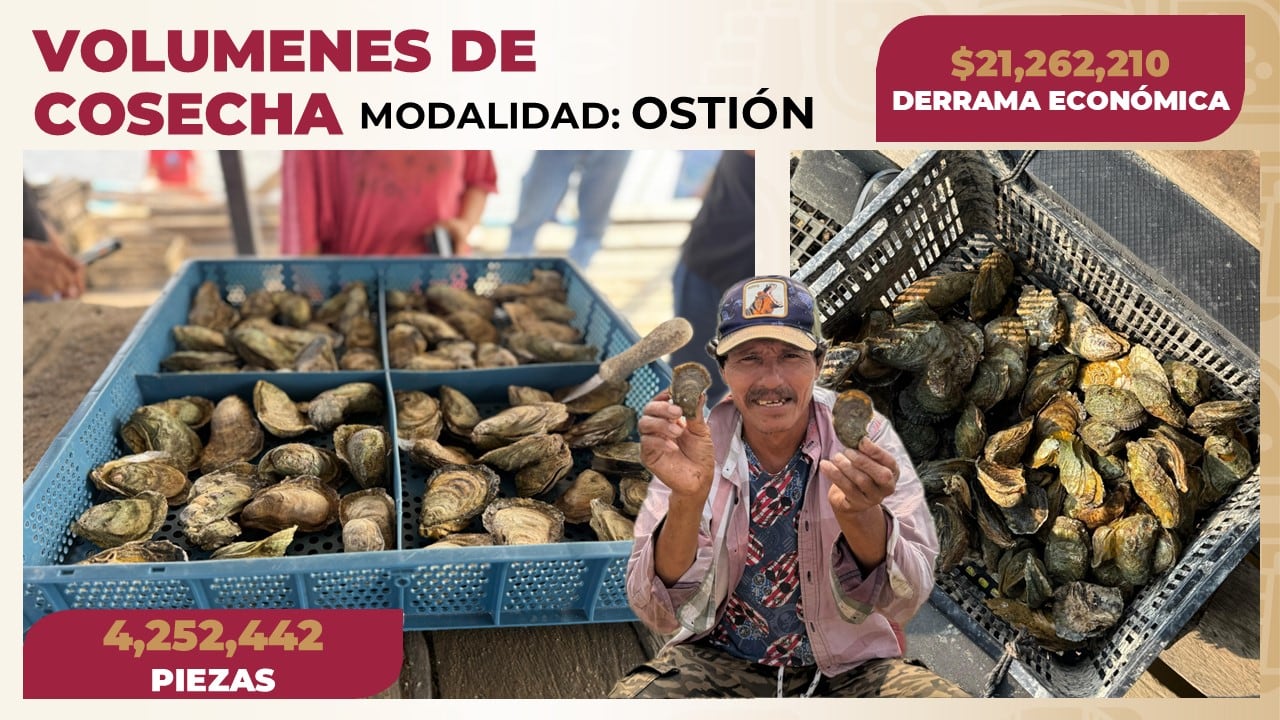 Autoridades de Tabasco anuncian reactivación de producción pesquera