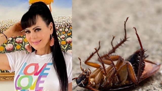 Maribel Guardia huyó desnuda por culpa de una cucaracha
