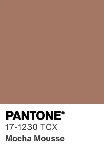 ¿Cuál será el color del año 2025? Pantone elige al Mocha Mousse