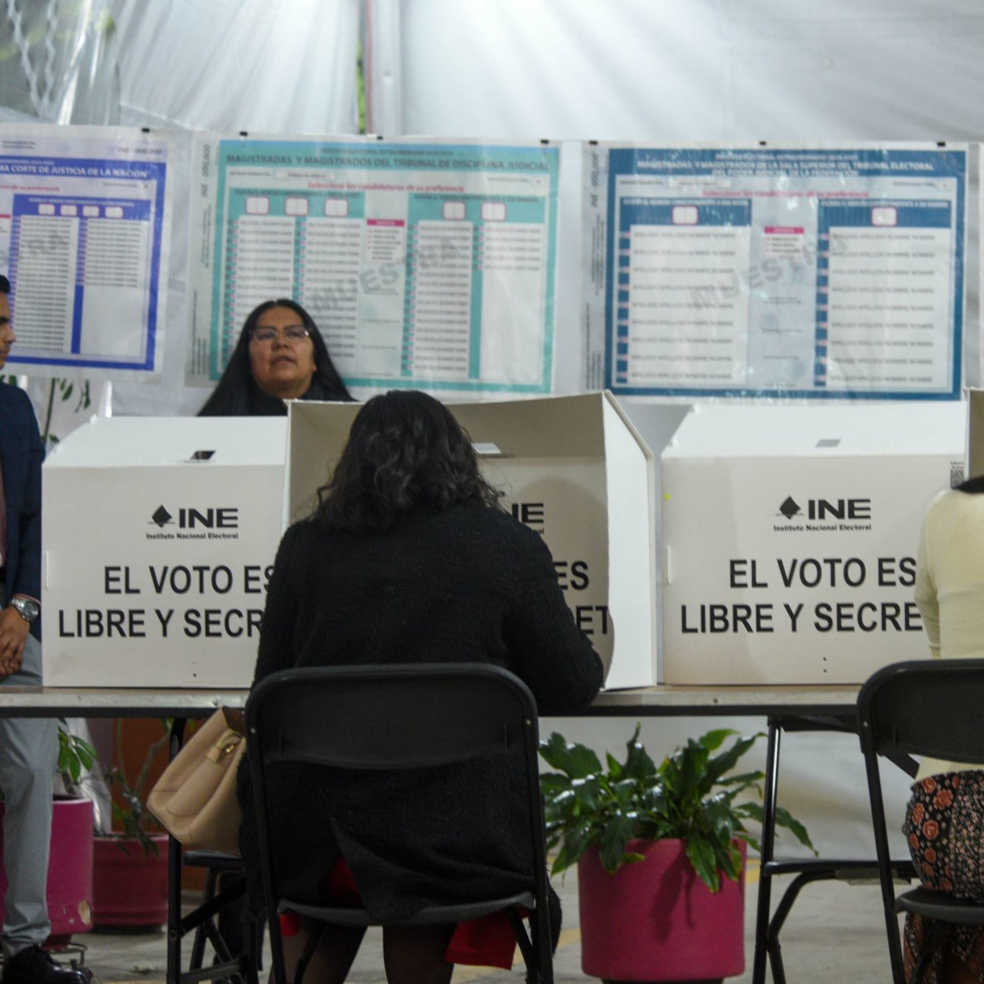 Lo que no es de demócratas, señoras y señores