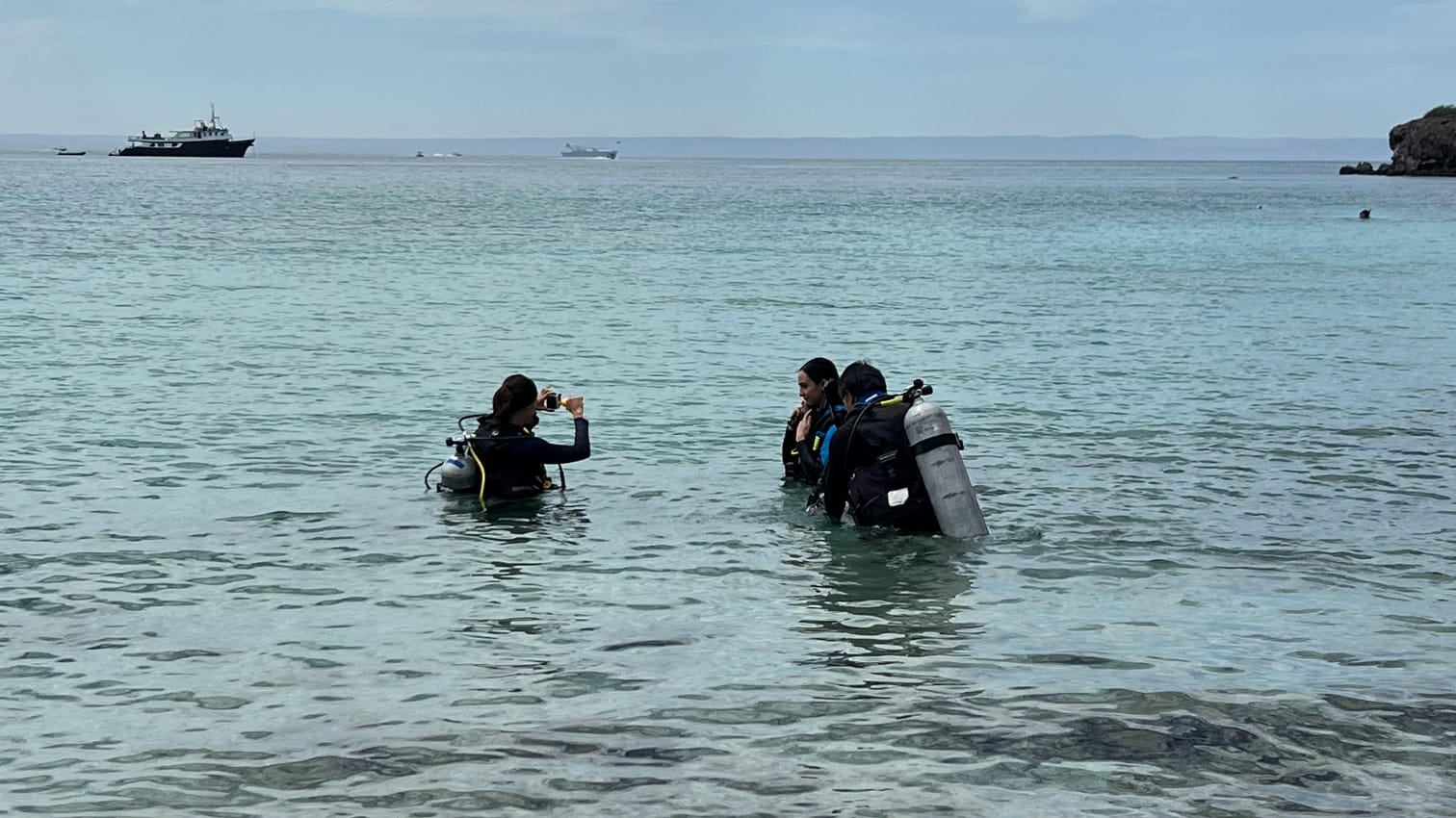 UABCS detecta caída del 40% en diversidad de peces en el Golfo de California