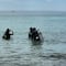 UABCS detecta caída del 40% en diversidad de peces en el Golfo de California