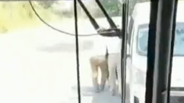 Antes de INM golpean a migrante en Chiapas. Reciben castigo