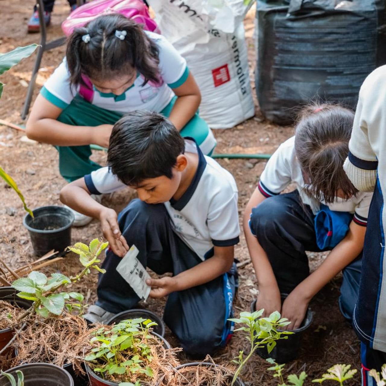 Educar para cuidar: cuando el futuro empieza en las aulas