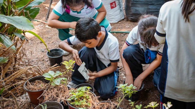 Educación Ambiental