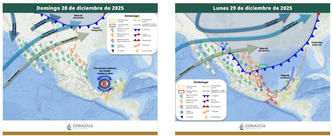 Frente Frío 25 llegará a México en fin de año; qué estados serán afectados