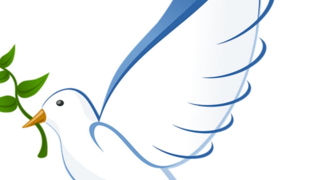 ¿De qué manera podemos promover la cultura de paz?