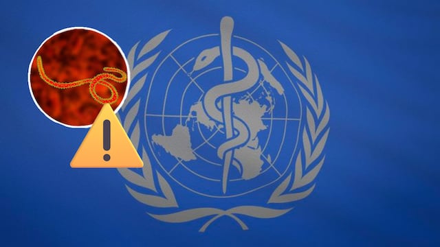 Riesgo alto en África por brode de ébola; conflictos armados en el Congo dificultan la contención del virus