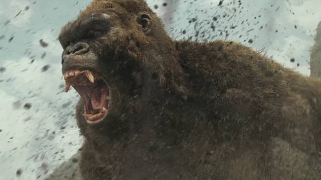 King Kong