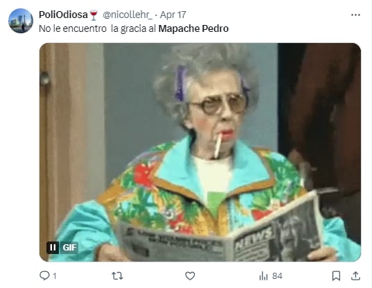 Memes del mapache "Pedro, Pedro"
