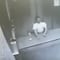 VIDEO: Muere partido en 2 por un elevador