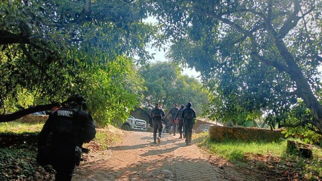 Capturan a 14 personas por presunto robo de aguacate en Michoacán.