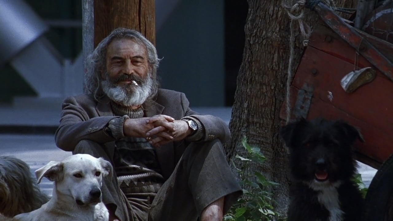 amores-perros-4