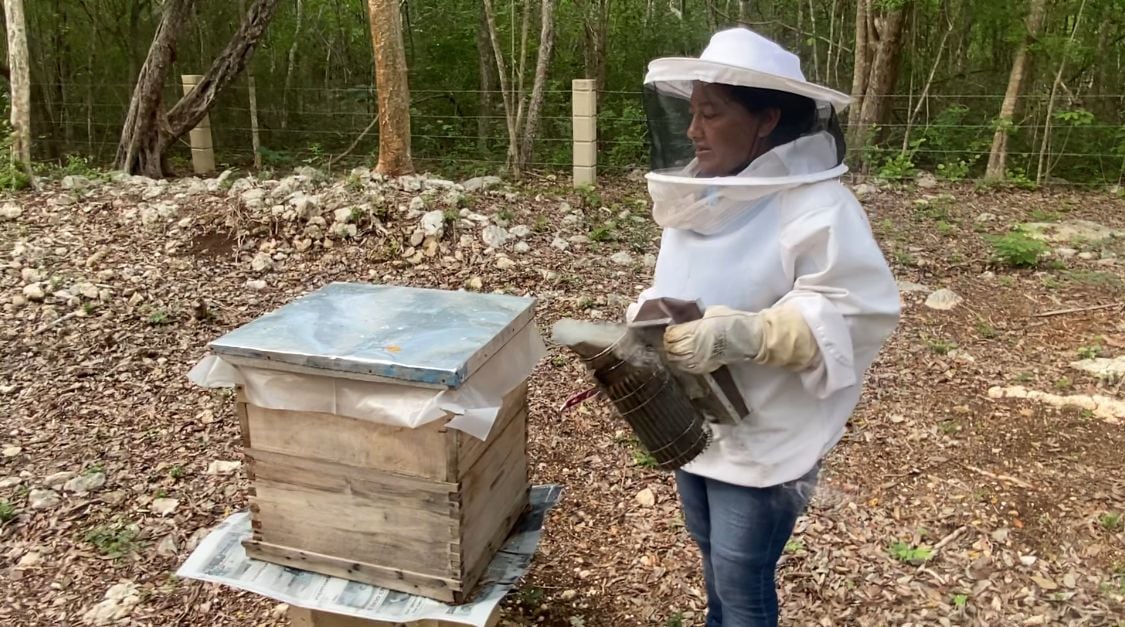Apicultores de Yucatán ganan Concurso Nacional de la Miel en Congreso Internacional de Actualización Apícola