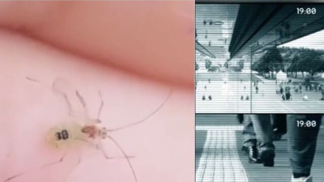 Nos espían con mosquitos, la teoría de la conspiración