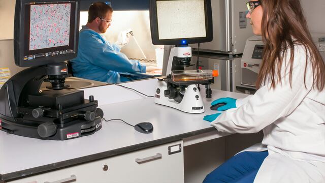 Precio de la prueba para detectar Alzheimer