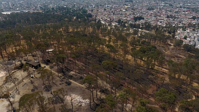 Construirán desarrollo inmobiliario en Reserva Ecológica Cerro Amalucan en Puebla