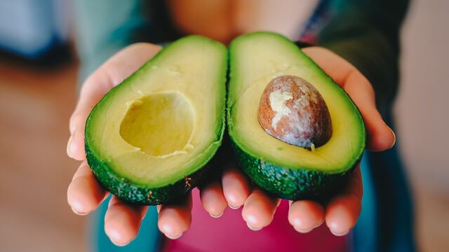 Se llevan Récord Guinness por el aguacate más grande del mundo.