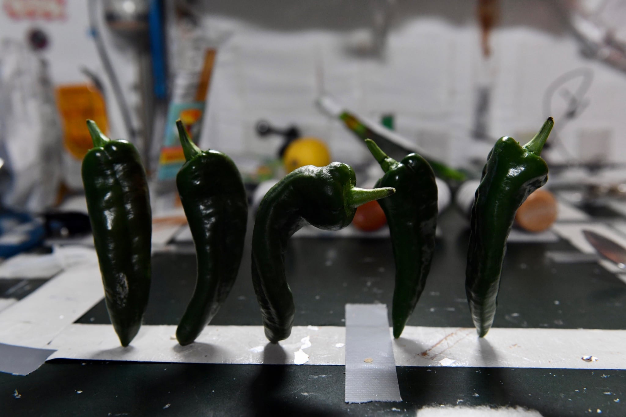 Chiles cultivados en la Estación Espacial Internacional
