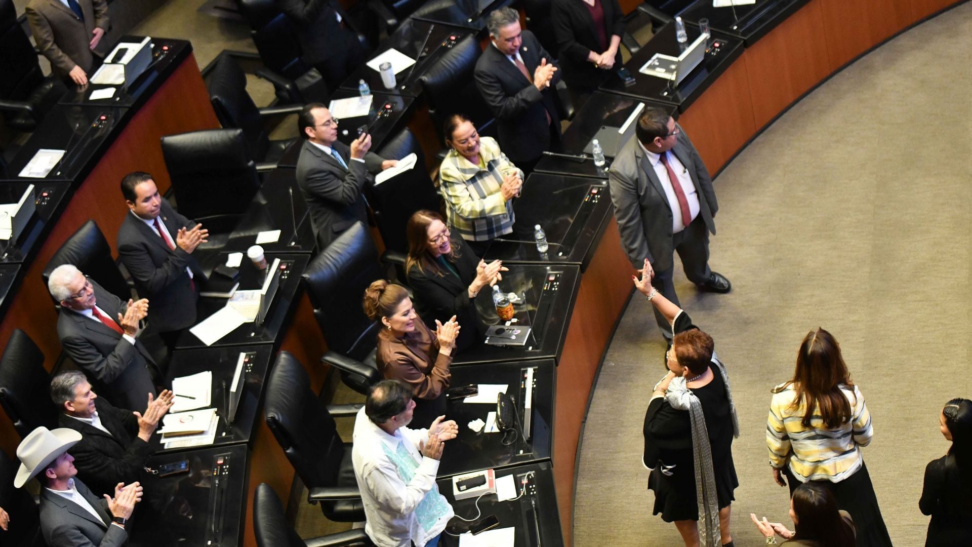 Los senadores que anularon su voto en la elección de Ernestina Godoy
