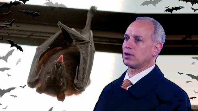 Hugo López_Gatell. Casos de rabia en México