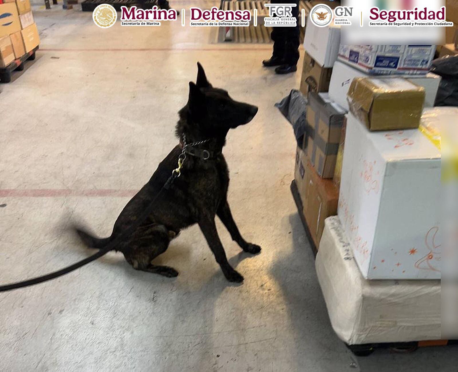 Viajeros nacionales y extranjeros viajando en el Aeropuerto Internacional de la Ciudad de México.
