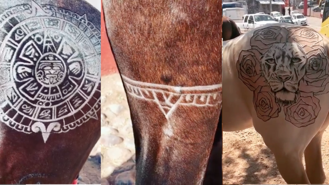 El nuevo look de los caballos de Pepe Aguilar molestó a cibernautas