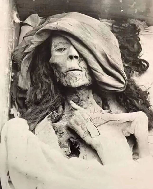 Momia de la reina Tiy, abuela de Tutankámon